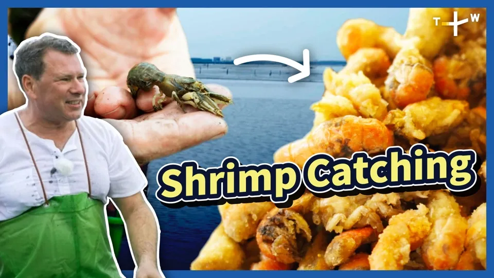 Happy Fisherman EP40: Catching Mud Shrimps on the Sandy Shore of Taiwan