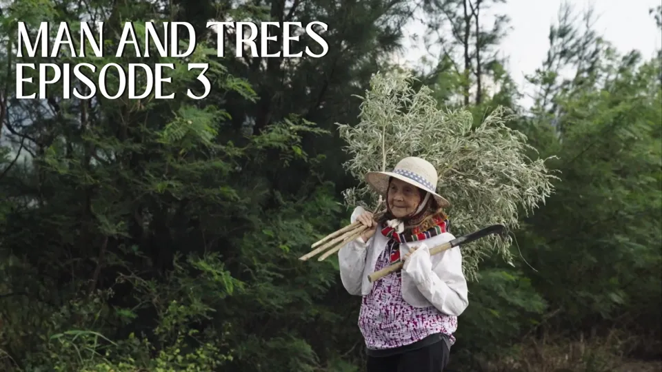 The Chaste Tree’s Many Uses - Man and Trees Ep.3