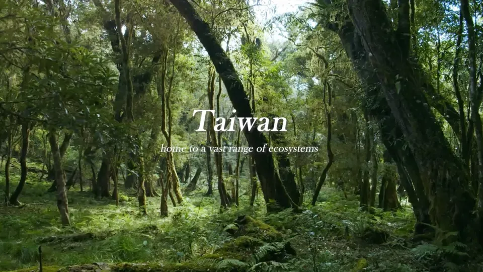 Earth Day - Taiwan's Nature Scenery
