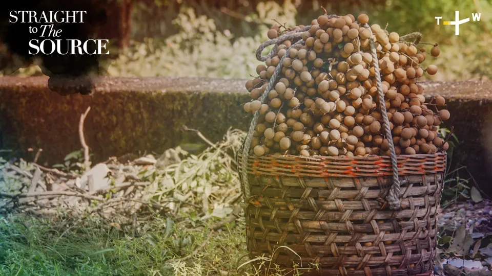 Wood-Smoked Longan: The Star Ingredient in Award-Winning Taiwanese Bread Ep3