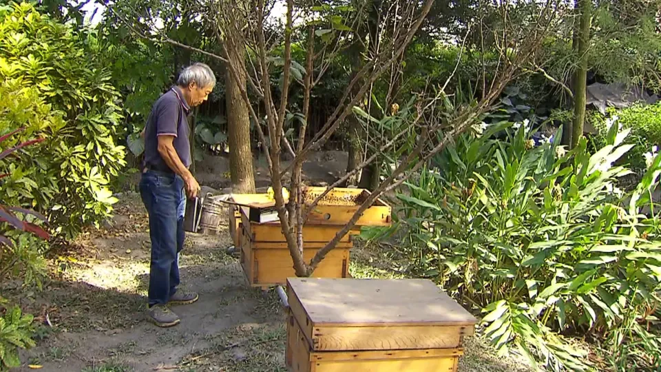 Stories of Kindness: The Senior Principal’s Earth-saving Plan Ep4