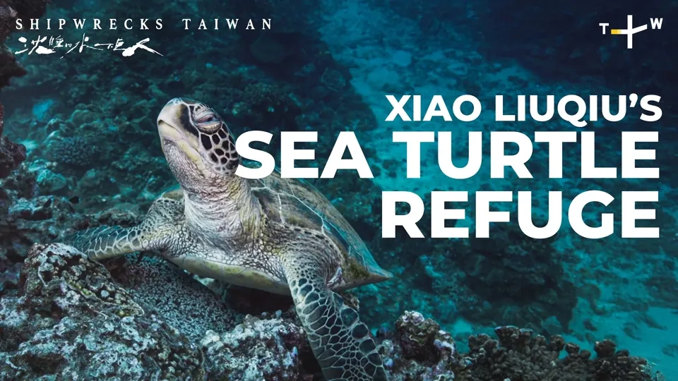 Xiao Liuqiu - Shipwrecks Taiwan  Ep4