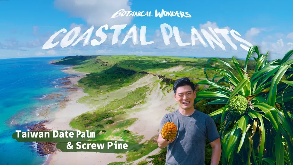 The Uses of Taiwan Date Palm & Screw Pine - Botanical Wonders Ep6