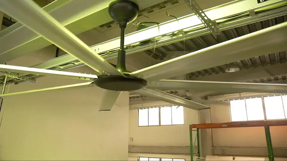 Hidden Champions in Taiwan: When Businesses Change Lives