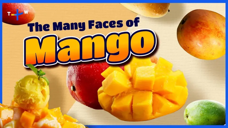 Mango: The Sweetest Fruit - Jason’s Table: Fruit Laboratory Ep8