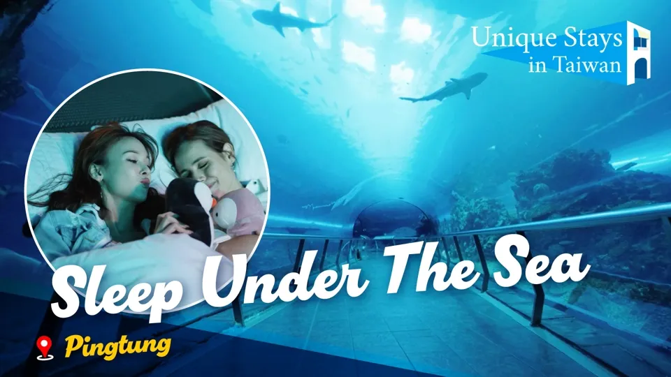 Most Magical Night in the Deep Sea - Unique Stays in Taiwan Ep4