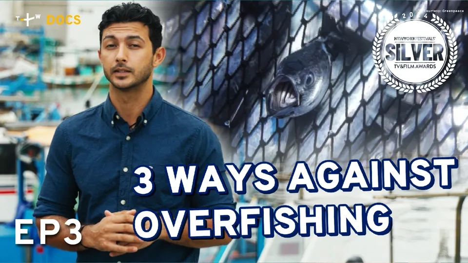 How This Asian Island Uses Eco-tourism to Combat Overfishing - Our Ocean EP3