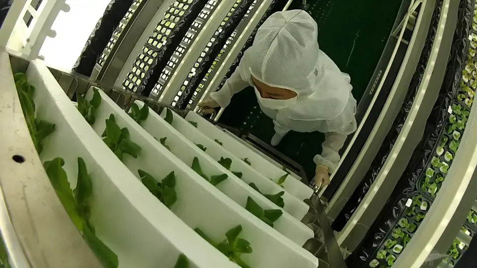 Taiwan Revealed: Convenient Truths