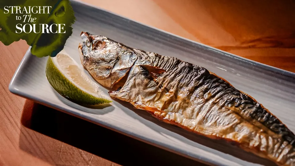 How to Catch the Perfect Mackerel-Straight to the Source Ep. 10